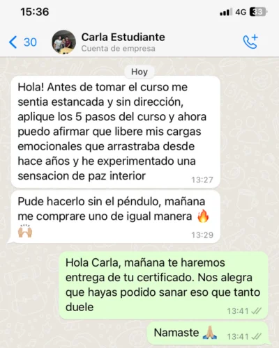 terapia con péndulo cursos master